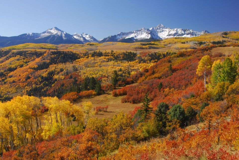 Telluride - Ann Duncan Photography