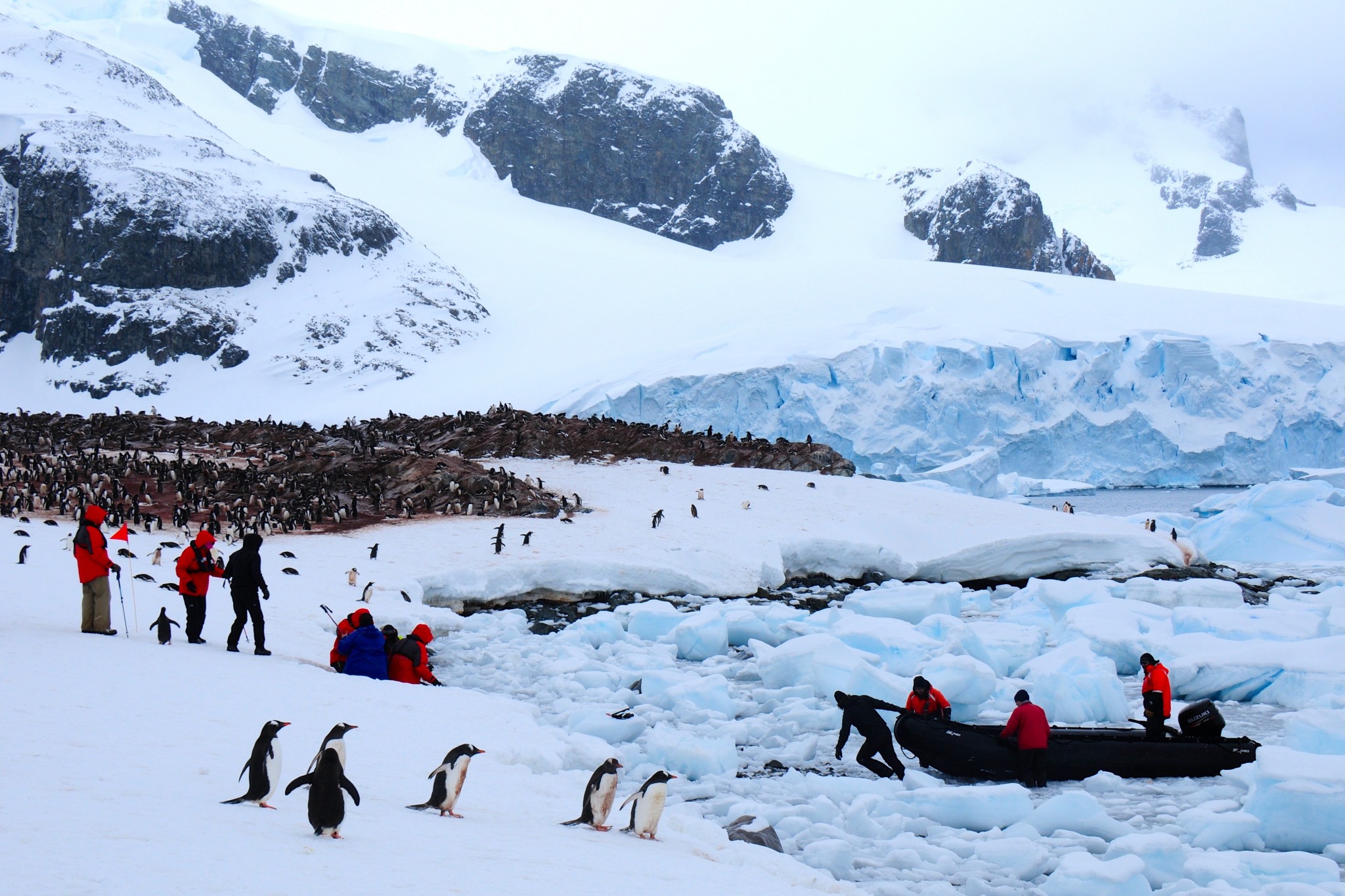 Antarctica and South Georgia Island - Ann Duncan Photography